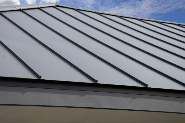 Best Skylight Installation and Repair  in Fort Dick, CA